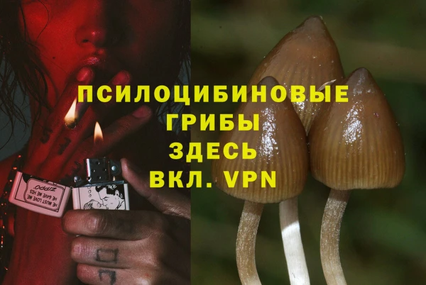 СК Нефтегорск