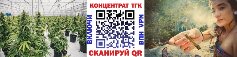 Дистиллят ТГК концентрат KRAKEN ТОР Ялта